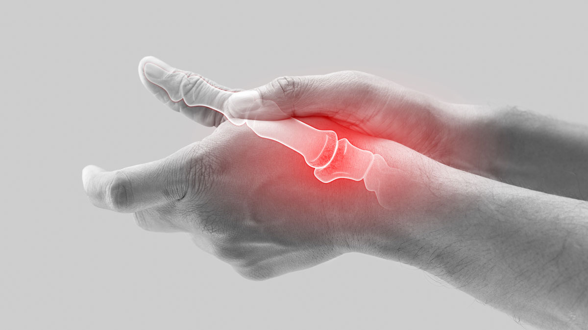 anatomy of the thumb