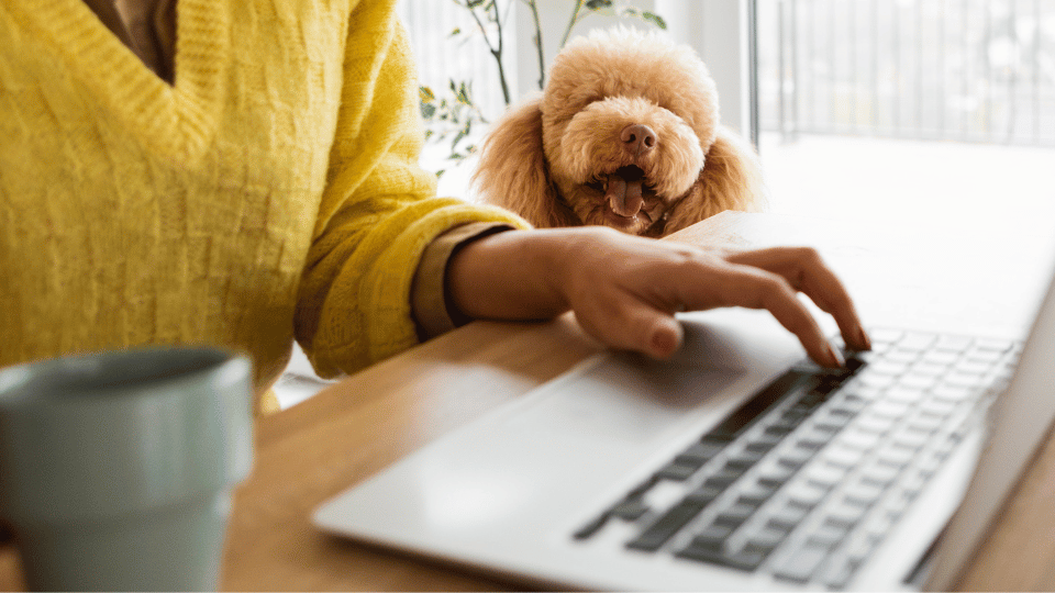 woman working at computer with dog
